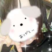 ヒメ日記 2025/04/09 17:32 投稿 みわ ご近所物語