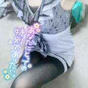 ヒメ日記 2025/08/21 20:10 投稿 みわ ご近所物語