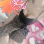 ヒメ日記 2025/10/12 18:27 投稿 みわ ご近所物語