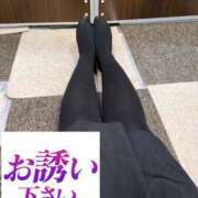 ヒメ日記 2024/12/29 03:37 投稿 かほ ご近所物語