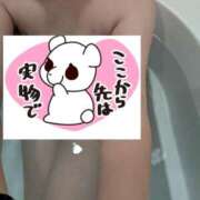 ヒメ日記 2024/12/29 16:10 投稿 かほ ご近所物語