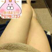 ヒメ日記 2025/01/03 08:46 投稿 かほ ご近所物語