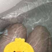 ヒメ日記 2025/03/05 17:00 投稿 かほ ご近所物語