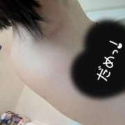 ヒメ日記 2025/03/06 07:01 投稿 かほ ご近所物語