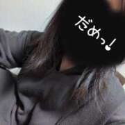 ヒメ日記 2025/04/09 10:20 投稿 かほ ご近所物語