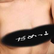 ヒメ日記 2025/05/30 11:01 投稿 かほ ご近所物語