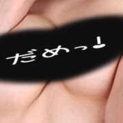 ヒメ日記 2025/05/30 12:03 投稿 かほ ご近所物語
