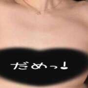 ヒメ日記 2025/05/30 17:00 投稿 かほ ご近所物語