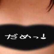 ヒメ日記 2025/06/01 05:00 投稿 かほ ご近所物語