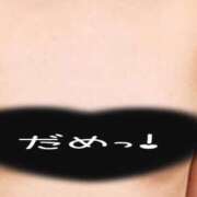 ヒメ日記 2025/06/02 07:00 投稿 かほ ご近所物語