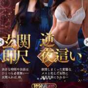 ヒメ日記 2025/06/06 08:00 投稿 かほ ご近所物語