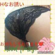 ヒメ日記 2025/06/18 17:00 投稿 かほ ご近所物語