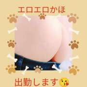 ヒメ日記 2025/06/19 10:00 投稿 かほ ご近所物語