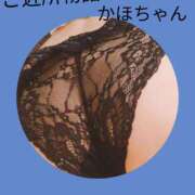 ヒメ日記 2025/06/19 12:01 投稿 かほ ご近所物語