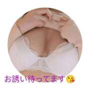 ヒメ日記 2025/06/26 07:00 投稿 かほ ご近所物語