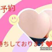 ヒメ日記 2025/07/23 17:00 投稿 かほ ご近所物語