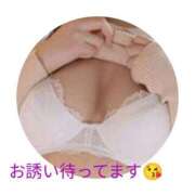 ヒメ日記 2025/07/29 12:01 投稿 かほ ご近所物語