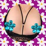 ヒメ日記 2025/08/18 08:00 投稿 かほ ご近所物語