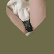 ヒメ日記 2025/09/11 11:00 投稿 かほ ご近所物語