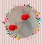 ヒメ日記 2025/09/17 08:00 投稿 かほ ご近所物語