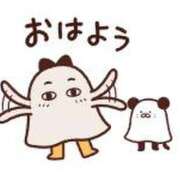 ヒメ日記 2025/09/25 07:00 投稿 かほ ご近所物語