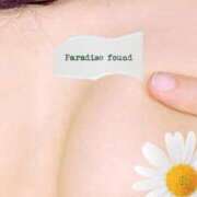 ヒメ日記 2025/09/29 08:00 投稿 かほ ご近所物語