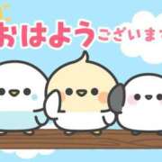 ヒメ日記 2025/10/01 07:00 投稿 かほ ご近所物語