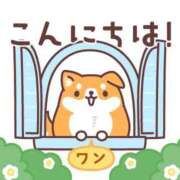 ヒメ日記 2025/10/18 11:00 投稿 かほ ご近所物語