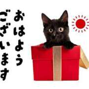 ヒメ日記 2025/10/19 07:00 投稿 かほ ご近所物語