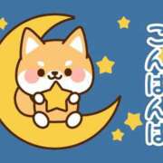 ヒメ日記 2025/10/22 17:00 投稿 かほ ご近所物語