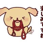 ヒメ日記 2025/11/06 12:00 投稿 かほ ご近所物語