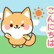 ヒメ日記 2025/11/07 11:00 投稿 かほ ご近所物語