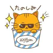 ヒメ日記 2025/11/12 08:00 投稿 かほ ご近所物語