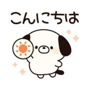 ヒメ日記 2025/11/13 11:00 投稿 かほ ご近所物語