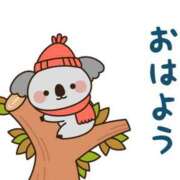 ヒメ日記 2025/11/16 07:00 投稿 かほ ご近所物語