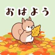 ヒメ日記 2025/11/18 07:00 投稿 かほ ご近所物語