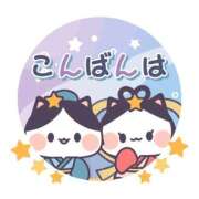 ヒメ日記 2025/11/21 17:00 投稿 かほ ご近所物語