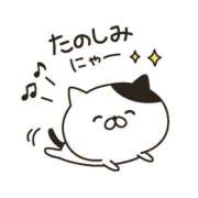 ヒメ日記 2025/11/25 12:00 投稿 かほ ご近所物語