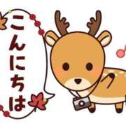 ヒメ日記 2025/11/30 11:00 投稿 かほ ご近所物語