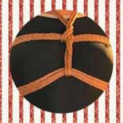 ヒメ日記 2025/12/01 02:00 投稿 かほ ご近所物語