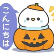 ヒメ日記 2025/12/02 11:00 投稿 かほ ご近所物語