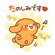 ヒメ日記 2025/12/03 08:00 投稿 かほ ご近所物語