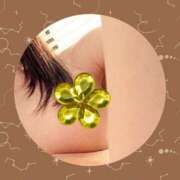 ヒメ日記 2025/12/06 03:00 投稿 かほ ご近所物語