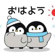 ヒメ日記 2025/12/09 07:00 投稿 かほ ご近所物語