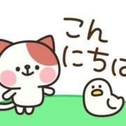 ヒメ日記 2025/12/10 11:00 投稿 かほ ご近所物語