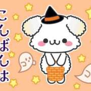 ヒメ日記 2025/12/10 17:00 投稿 かほ ご近所物語