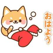 ヒメ日記 2025/12/13 07:00 投稿 かほ ご近所物語