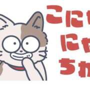 ヒメ日記 2025/12/17 11:00 投稿 かほ ご近所物語