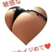 ヒメ日記 2025/12/20 00:00 投稿 かほ ご近所物語