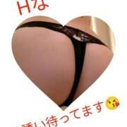 ヒメ日記 2025/12/20 03:00 投稿 かほ ご近所物語